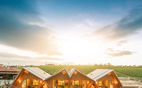 Quinta Da Faisca - Agro Turismo